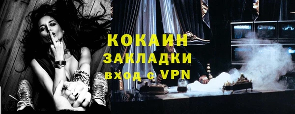 прущие грибы Медногорск