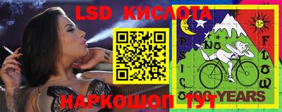 индика Чебоксары
