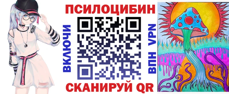 где можно купить   Отрадный  Галлюциногенные грибы Psilocybine cubensis 