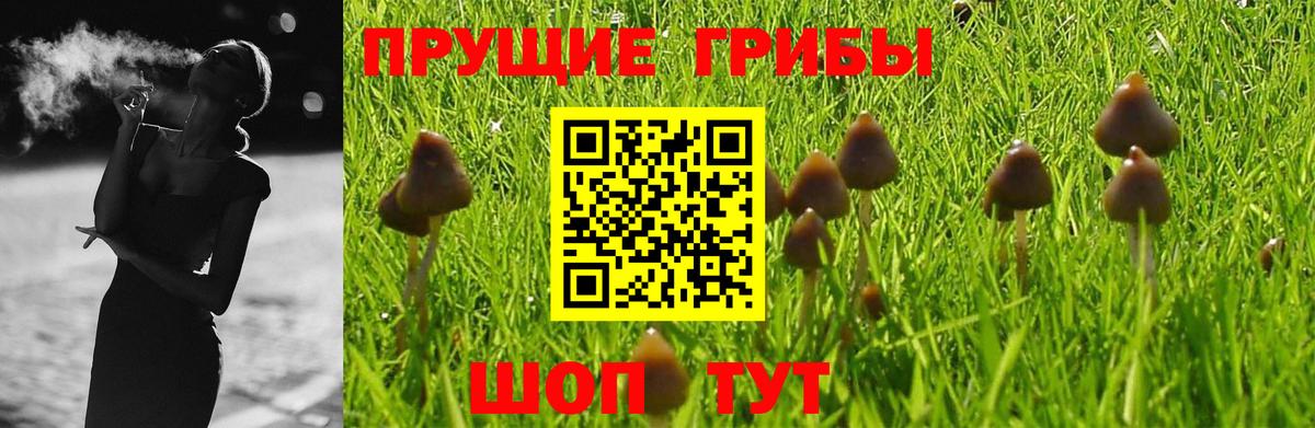 Псилоцибиновые грибы MAGIC MUSHROOMS Отрадный